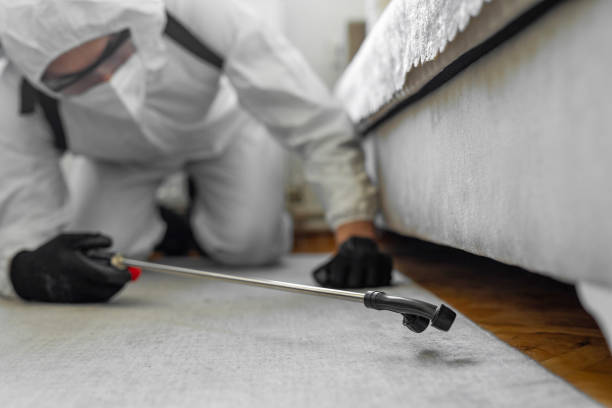 Professional Termite Control technician working in Grayling, MI