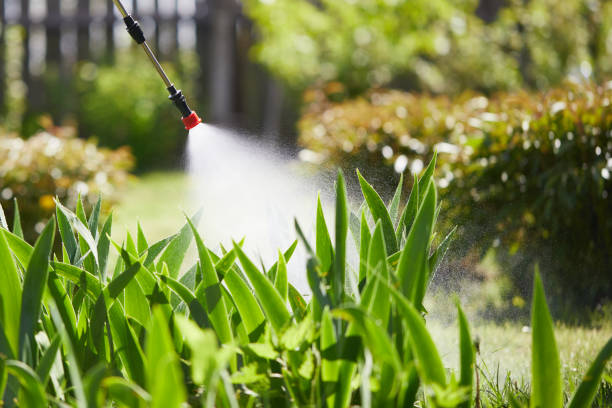 24/7 Emergency Termite Control experts in Grayling, MI