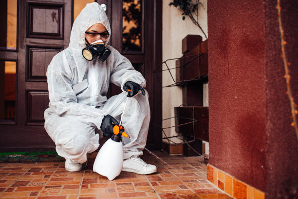 Reliable Termite Control contractor in Grayling, MI by Nex Pest Control