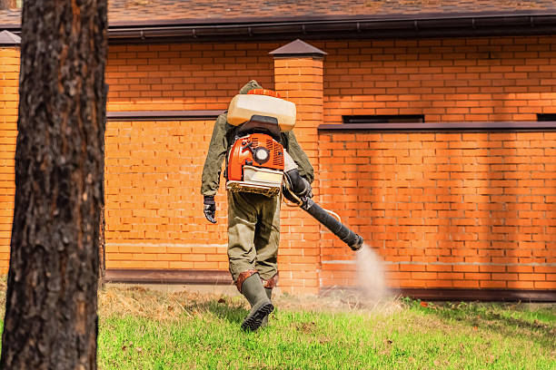 Top rated local Termite Control specialists in Grayling, MI